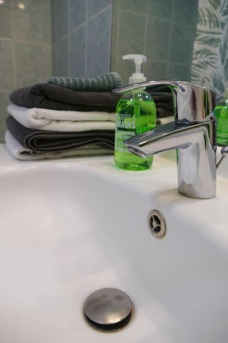 Disneyland Paris, Appartement 70M², Parking Prive Serris Ngoại thất bức ảnh